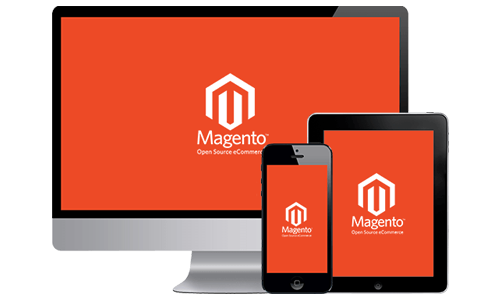 Magento Website
